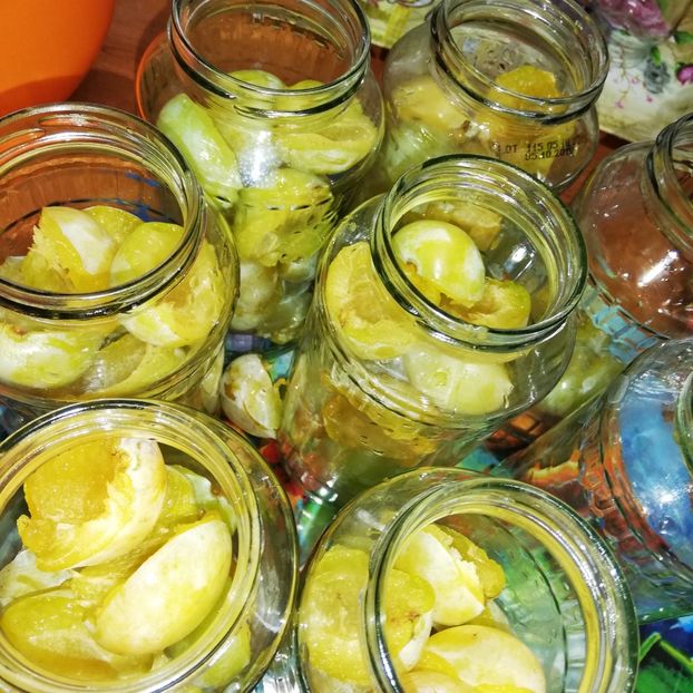  - 0-2019 - De prin curte