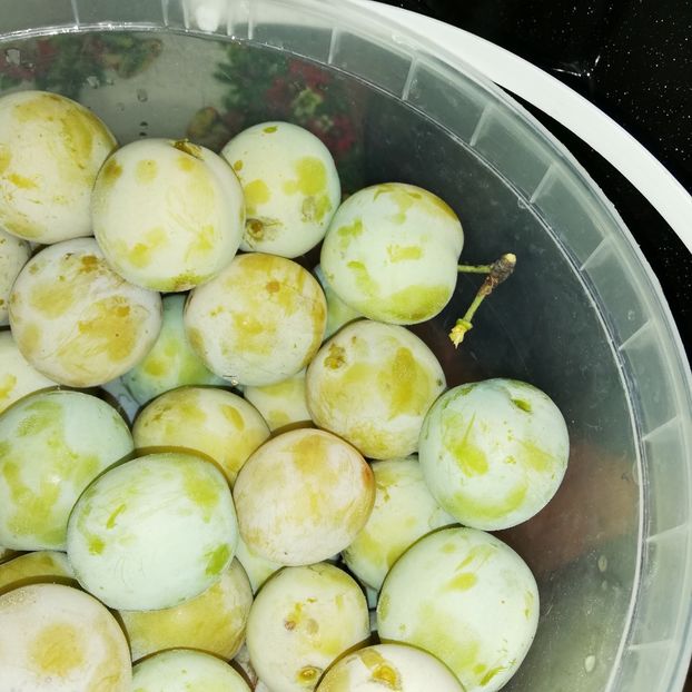  - 0-2019 - De prin curte