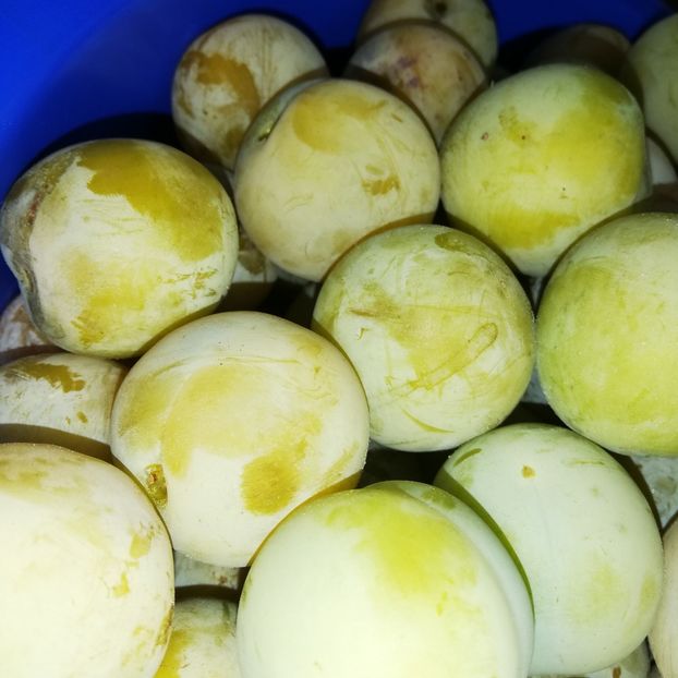  - 0-2019 - De prin curte