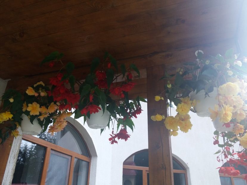  - Mânăstirea Jieț