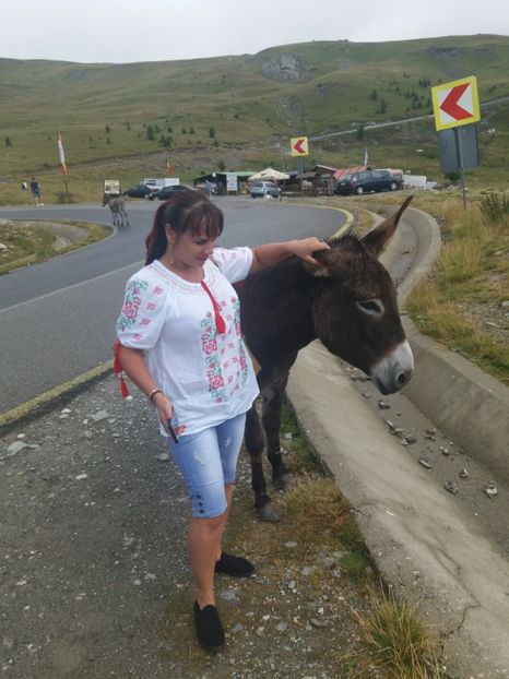  - Transalpina august 2019