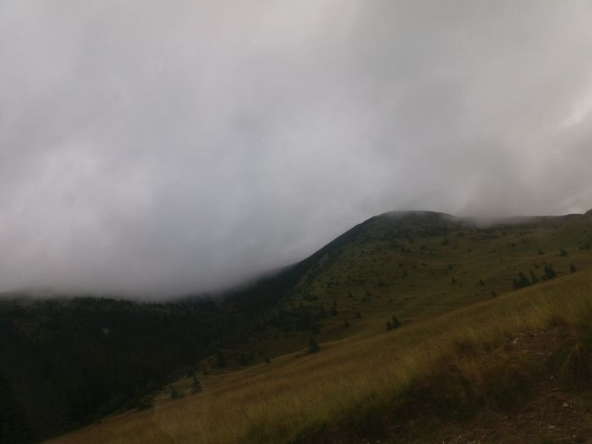  - Transalpina august 2019