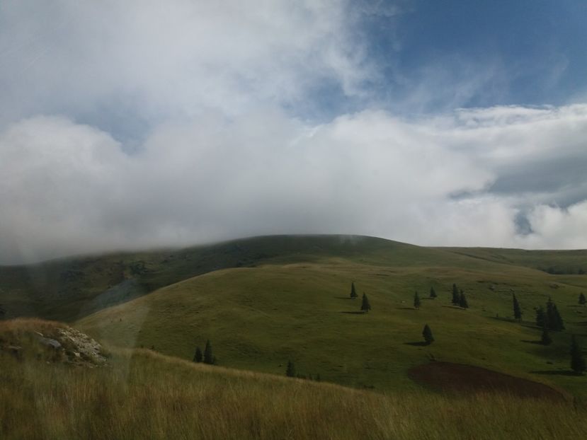  - Transalpina august 2019