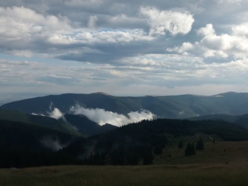  - Transalpina august 2019