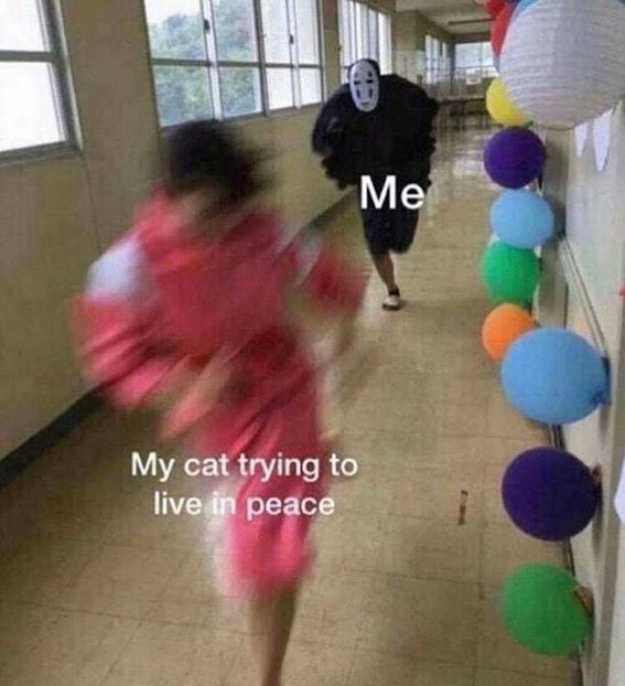 08923530-BB5B-4806-BF81-98B02B7C4898 - w i remember the rush