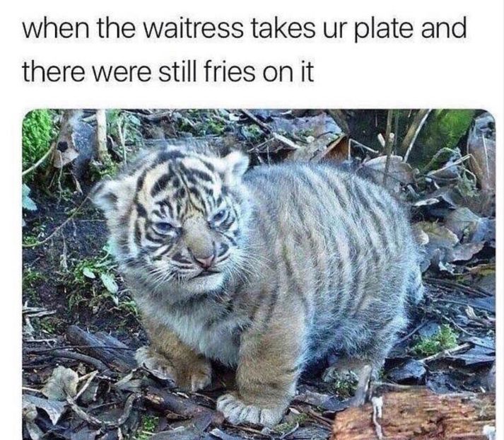 DA5345DB-1767-4D6B-BC42-3AC34AB0D317 - w i remember the rush