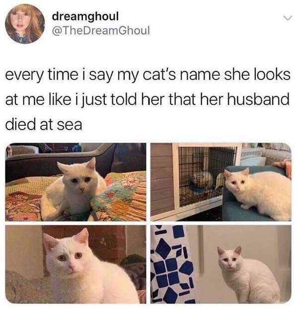 15C03A76-1C9D-42E1-B78A-3DB910D87EF8 - w i remember the rush