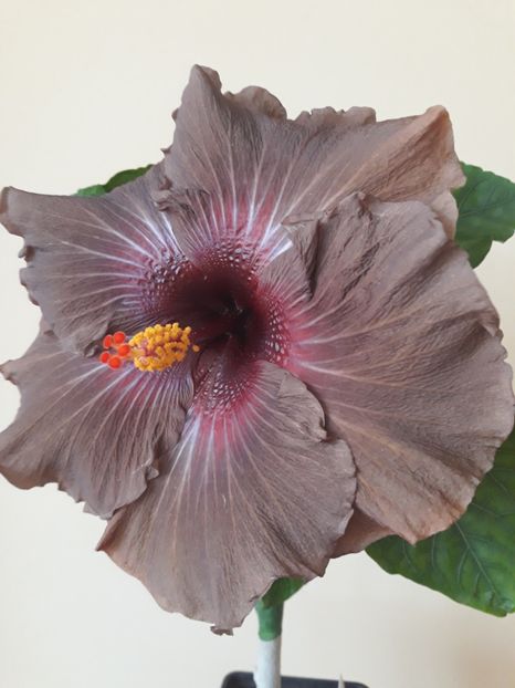  - HIBISCUS RK INFERNO