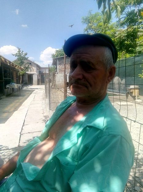 un porumbar batran - ceva nou