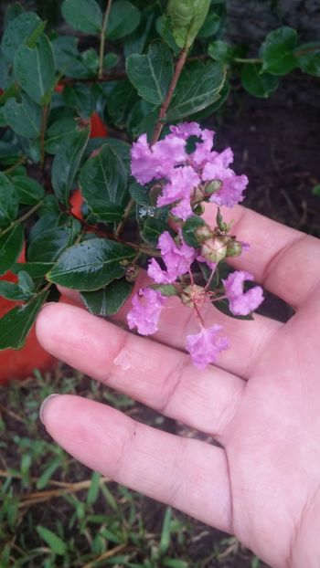  - curtea cu toate cele 2019