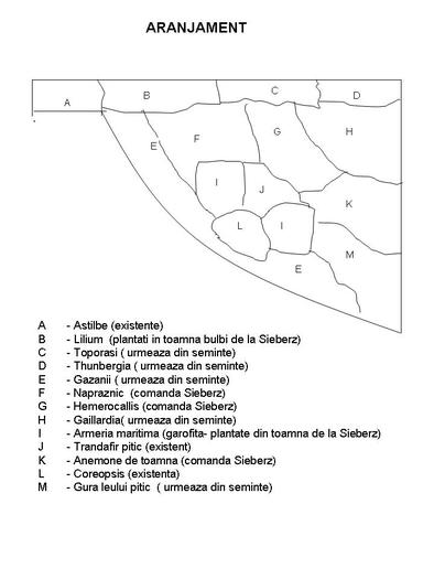 Aranjament pentru 2010 - Primavara vara toamna