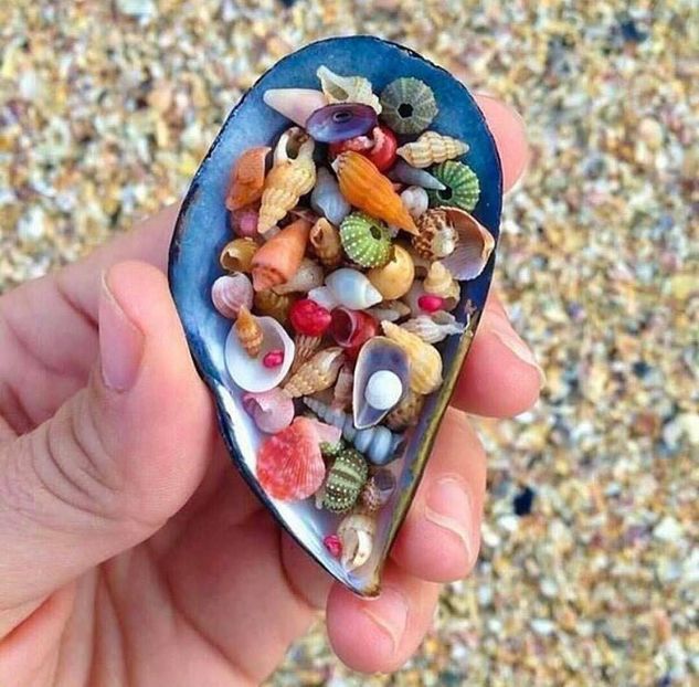  - 2019 VACANȚA MUNTENEGRU 21 IULIE