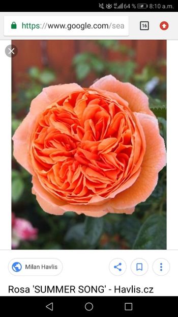 Screenshot_20190311-081025 - Caut pentru toamnă