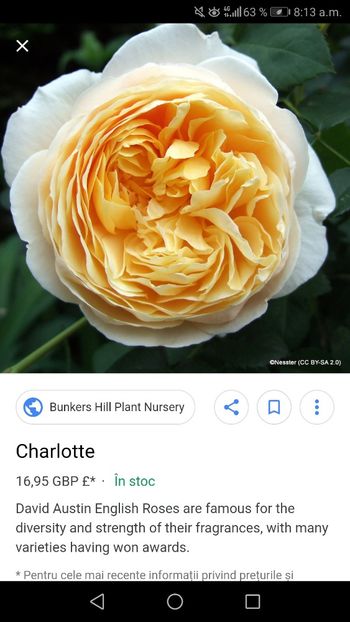 Screenshot_20190311-081308 - Caut pentru toamnă