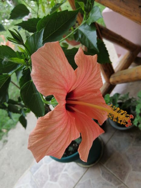  - Balsam pentru suflet