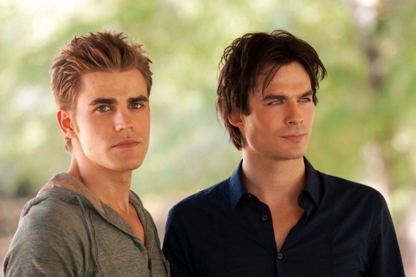 Stefan,Damon - The vampire diaries