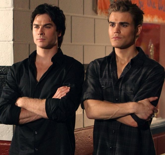 Damon,Stefan - The vampire diaries