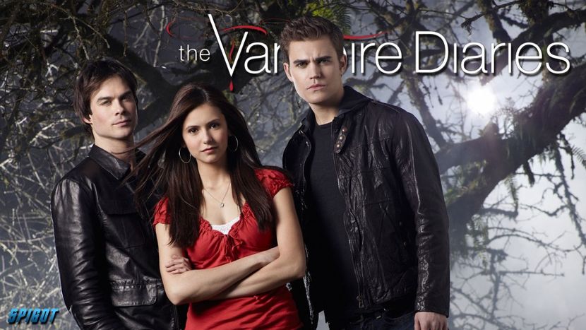 The vampire diaries - The vampire diaries