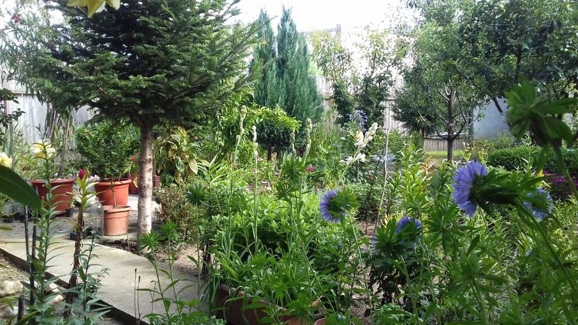  - 7-Vara și alaiul ei de bucurii în trenul vieții!