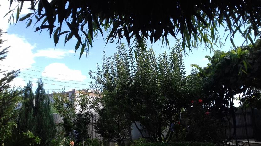  - 7-Vara și alaiul ei de bucurii în trenul vieții!