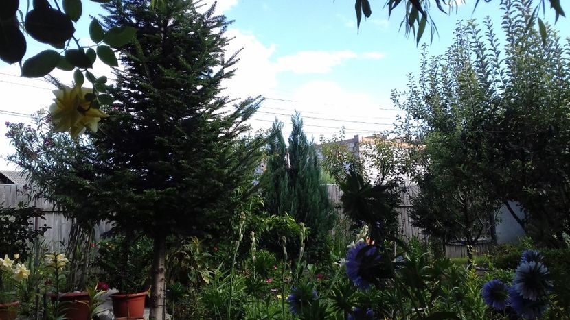  - 7-Vara și alaiul ei de bucurii în trenul vieții!