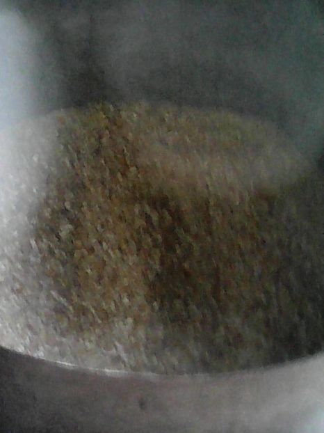  - GAINI ITALIENE 2019 DE VANZARE