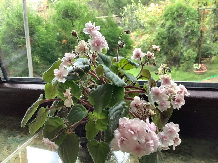  - Rob s Vanilla Trail