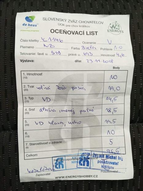 received_2157727874266761 - Mascul Slovac