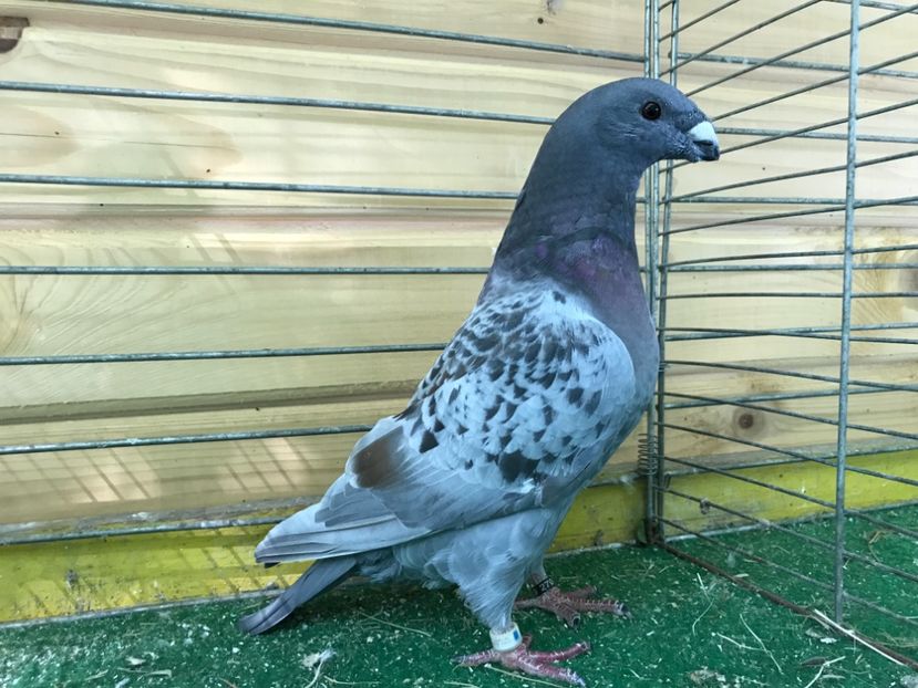 8A3BEABF-FA68-4F2D-9DA5-AE8A7630BB0E - Asr 2019