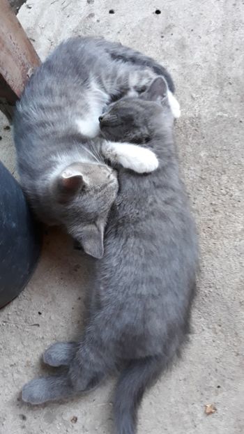  - Iubiri mici!