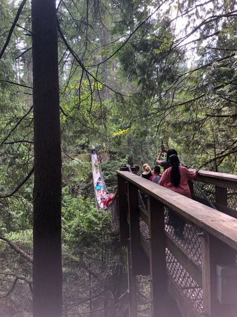 58813063-8E8C-4EA8-866D-49BD3DCFB82C - CANADA august 2019