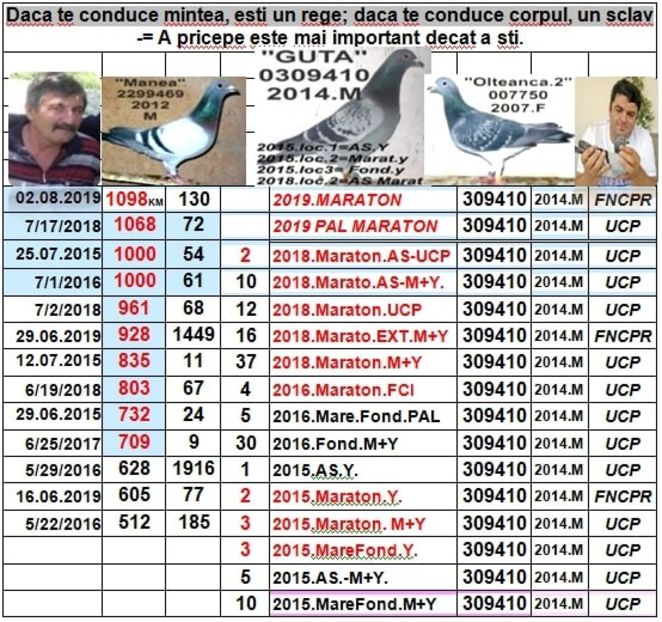.1 GUTAAA - 1 SOSIRI FOND SI MARA 2018-2019