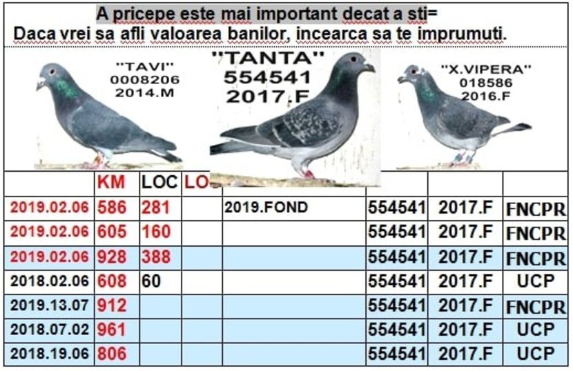 .1 TANTA - 1 SOSIRI FOND SI MARA 2018-2019