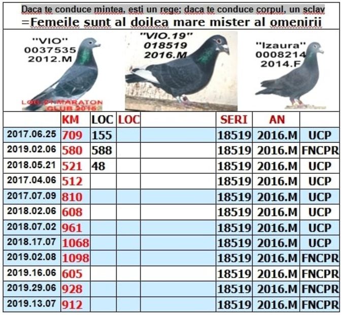 .1 VIO - 1 SOSIRI FOND SI MARA 2018-2019