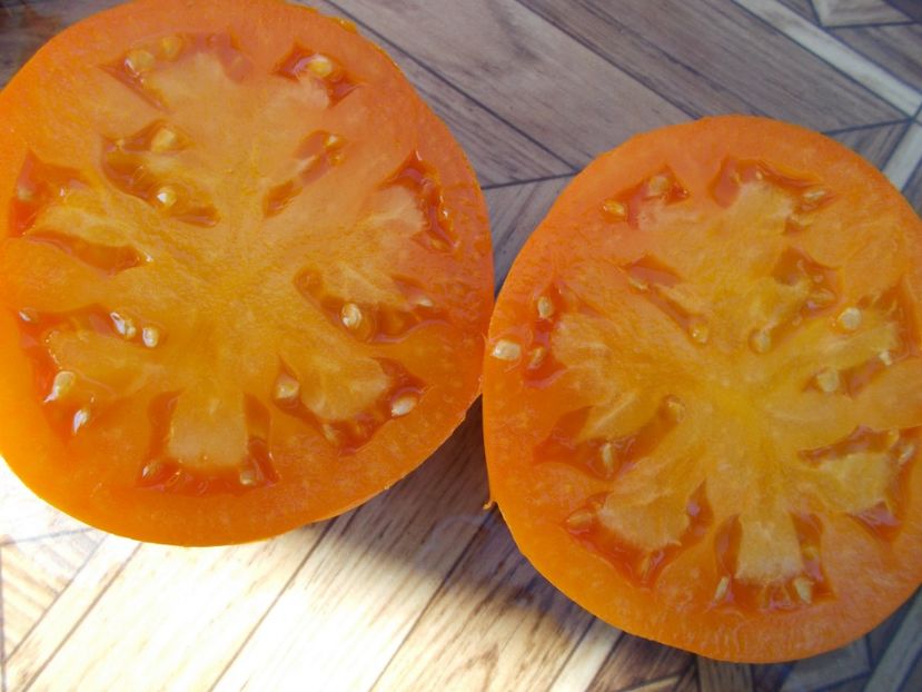  - SEMINTE ROSII - T 316 NICOVIOTIS ORANGE