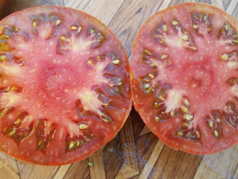  - SEMINTE ROSII - T 450 GROSSE BORDEAU NOIRE