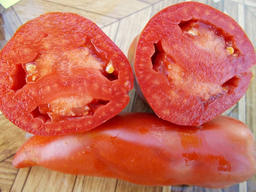  - SEMINTE ROSII - T 416 JERSEY DEVIL