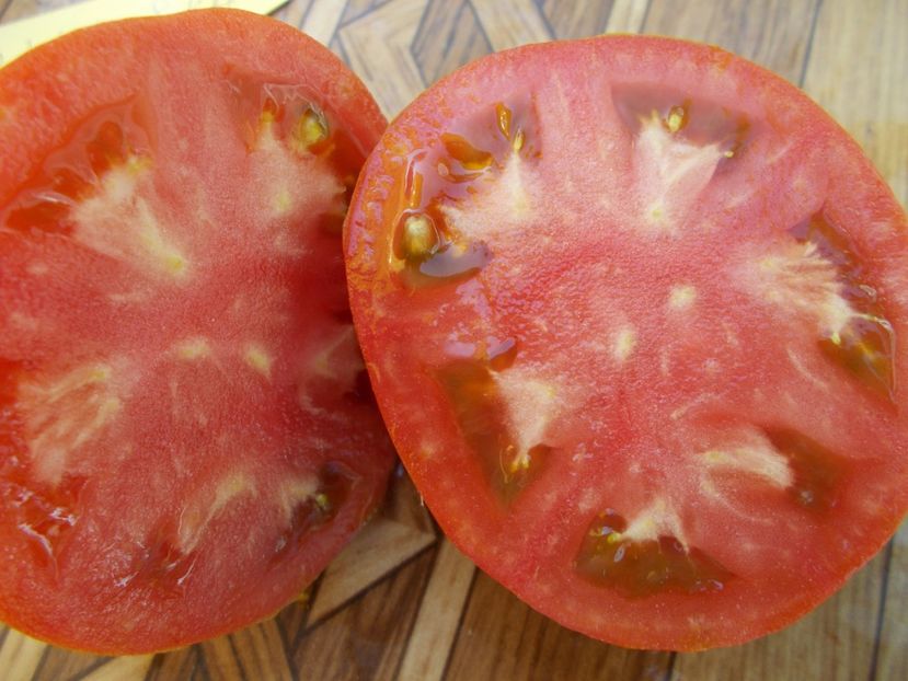  - SEMINTE ROSII - T 430 LIGURIA