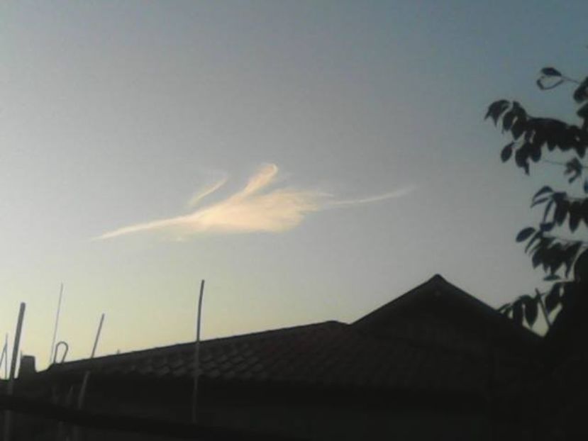  - Poze noi