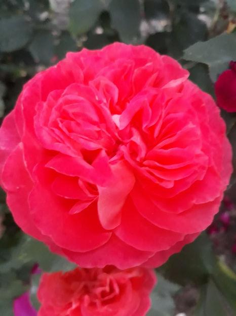  - EMILIEN GUILLOT Guillot 3