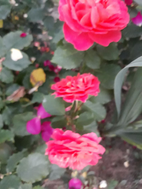  - EMILIEN GUILLOT Guillot 3