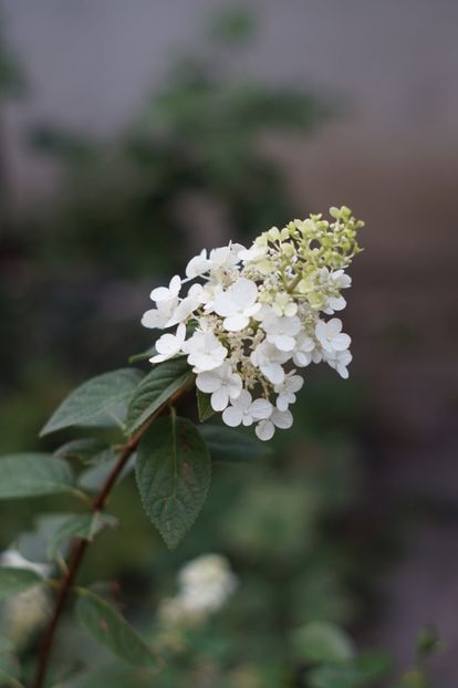  - August 2019- August 2020