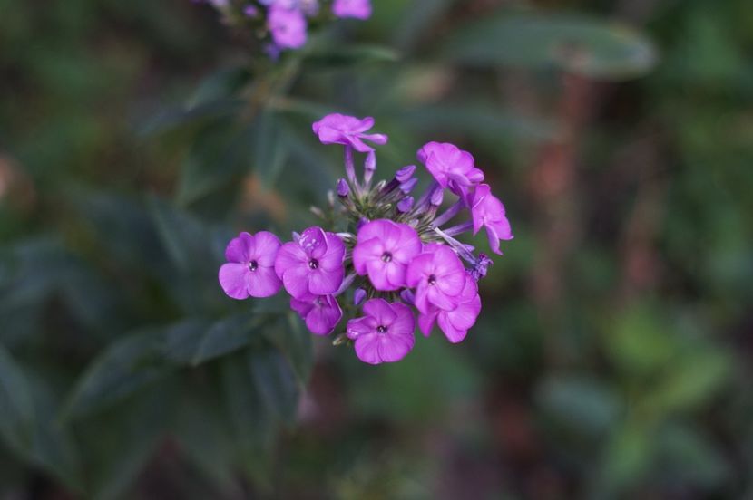  - August 2019- August 2020