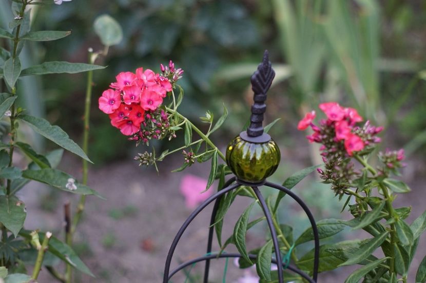  - August 2019- August 2020