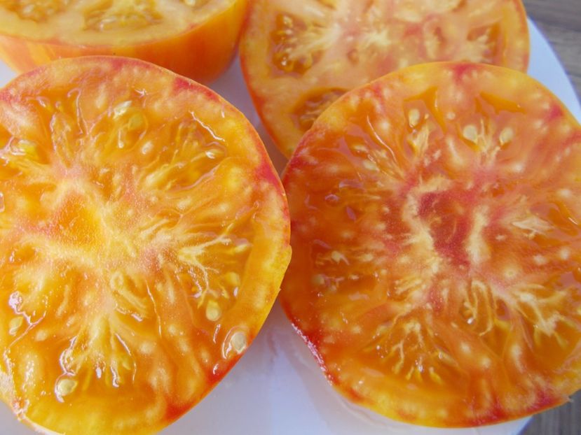  - SEMINTE ROSII - T 355 LITHIUM SUNSET