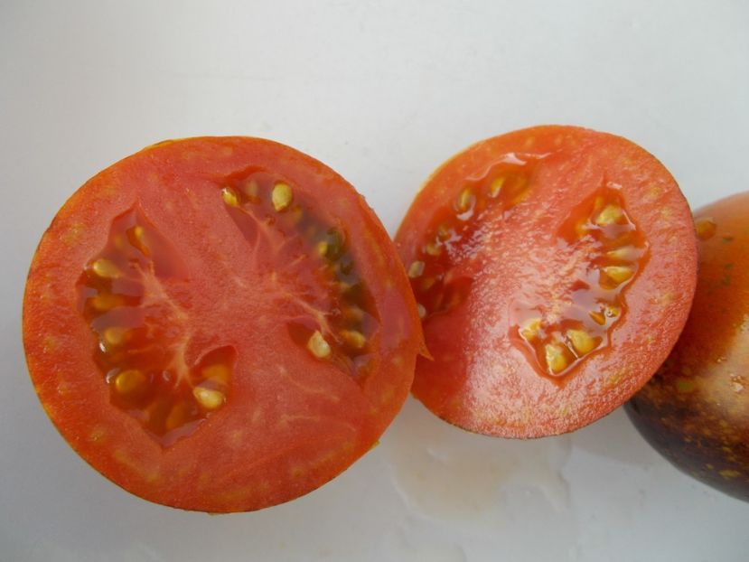  - SEMINTE ROSII - T 387 DARK GALAXY - pt poze