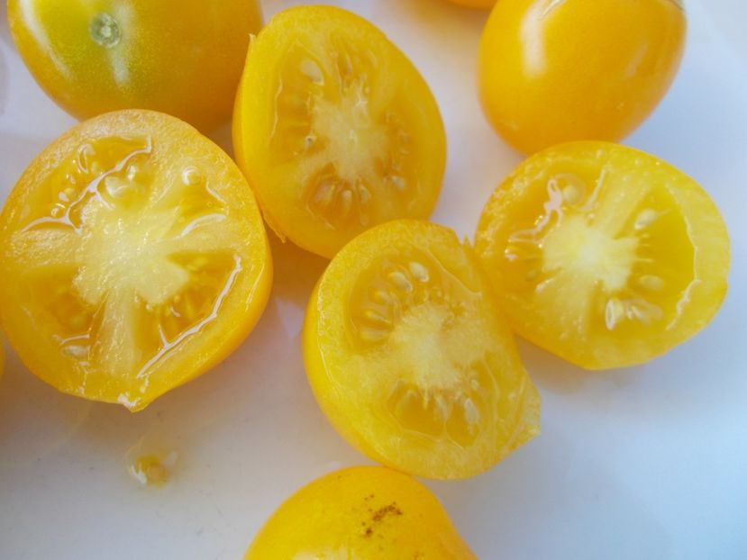  - SEMINTE ROSII - T 443 AMARILLO