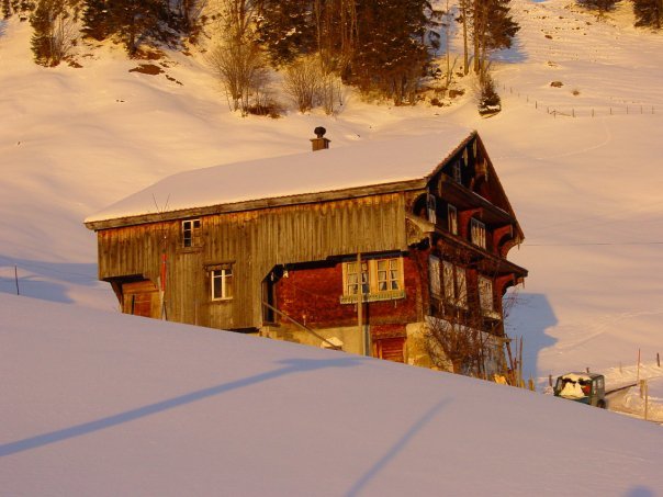  - Peisaje de iarna 2009 - 2010