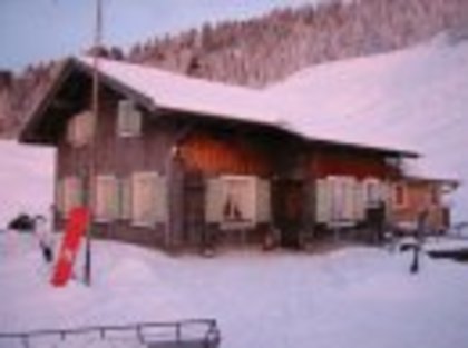  - Peisaje de iarna 2009 - 2010
