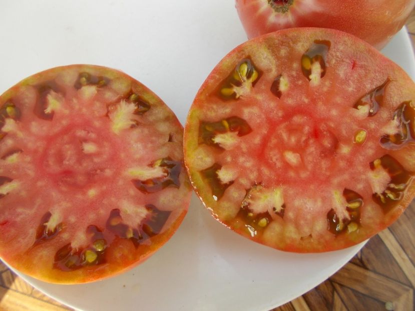  - SEMINTE ROSII - T 421 CHINESE PURPLE